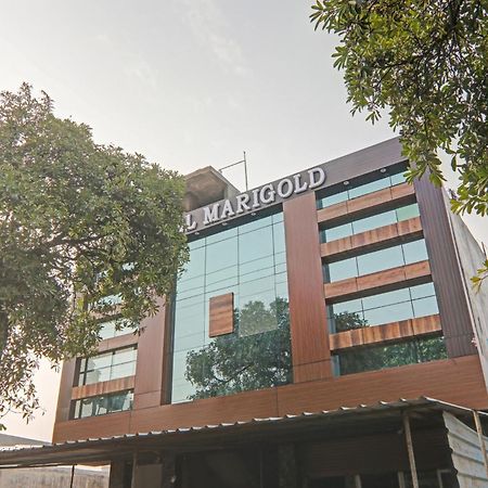 Collection O Hotel Marigold Kanpur Bagian luar foto