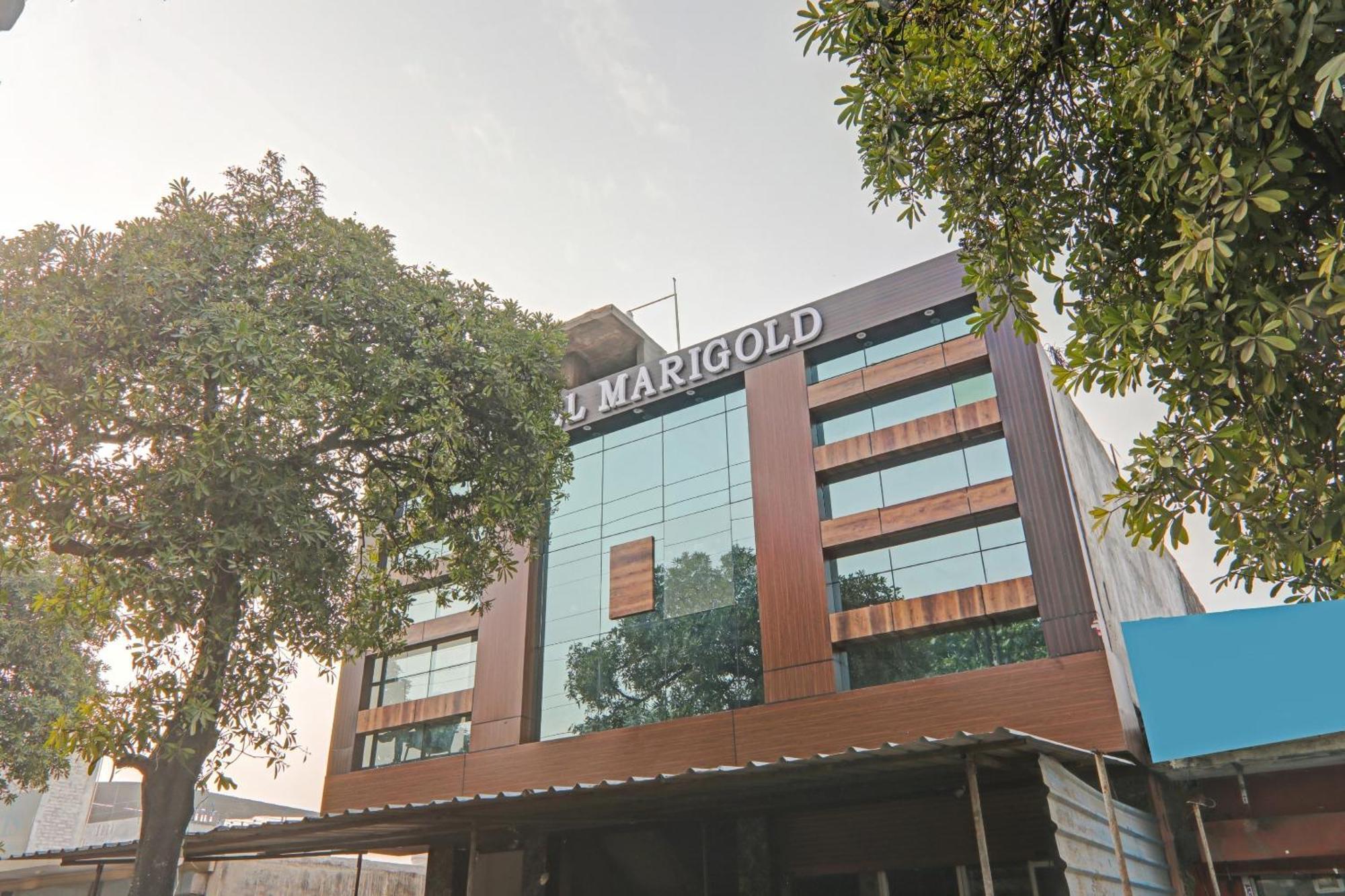 Collection O Hotel Marigold Kanpur Bagian luar foto